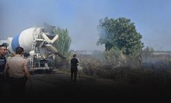 Hurda malzemeler alev aldı: Yangın zeytinliklere yayıldı!