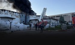 İzmir'de kağıt deposunda yangın paniği!