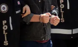 Yavru kediye işkence edip öldürdüler: 2 şüpheli hakkında gözaltı kararı
