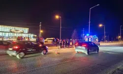 Yolun karşısına geçmek istedi: Otomobilin altında can verdi!