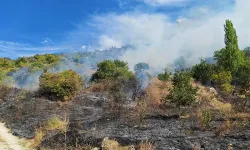 Manisa'da yol kenarında çıkan yangın, ormana sıçradı