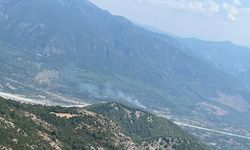 Muğla'da çıkan orman yangını söndürüldü