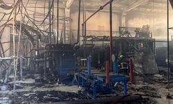 Yalıtım malzemesi üreten fabrikada yangın: Maddi hasar oluştu!