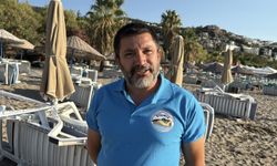 Bodrum'da 62 yavru caretta caretta denizle buluştu