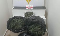 Muğla'nın iki ilçesinde 'zehir' baskını: 2 tutuklama!