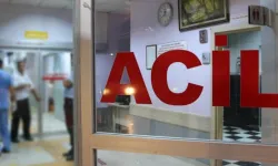 Aile içi kavgada kanlı olay: Baldızını öldürdü, kayınbiraderini yaraladı!
