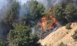 Balıkesir'de orman yangını... Ekipler müdahale ediyor