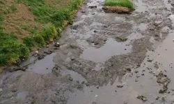 Eber Gölü alarm veriyor: Kötü koku ve kirlilik arttı!