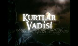 'Kurtlar Vadisi'nin senaristleri ifadeye çağrıldı!
