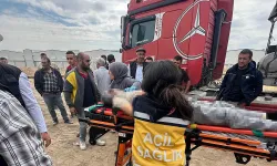 Park halindeki TIR'ın sürücüsü ölü bulundu!