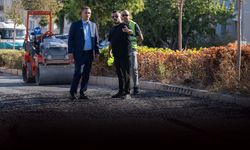 Şikayetler geldi, ekipler harekete geçti: Bornova Belediyesi’nden yıldırım müdahale