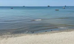İstanbul'da 3 plaj kapatıldı