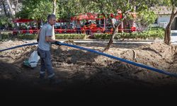 Bornova Büyükpark yeni otomasyon sayesinde dört mevsim yeşil kalacak!