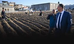 Türkiye’nin en büyük karbon sıfır kent bostanı Bornova’da açıldı