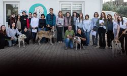 Ege Üniversitesi'nde toplatılan köpekler için seferber oldular: 83 can dost güvende!