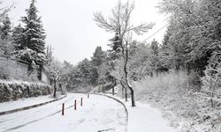 Kütahya'da kar yağışı