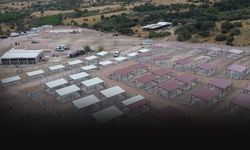 İzmir’de 2 bin 500 hayvan kapasiteli kampüs için çalışmalar hızlandı!