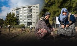 İzmir’de kadınların Mahalle Bostanlarında kış mesaisi başladı