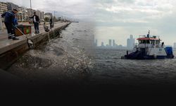 Yağmurla denize taşınıyor: Körfez’den tonlarca atık çıkarılıyor!