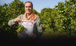 Seferihisar mandalinası için uluslararası pazar hedefi