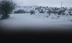 Manisa'nın yüksek kesimlerine mevsimin ilk karı düştü!