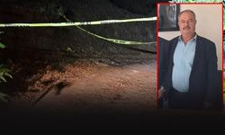 Kestane kozalakları tartışması cinayetle bitti: Eski muhtar hayatını kaybetti