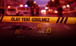 Tartışma kavgaya dönüştü: İzmir'de kardeş cinayeti!