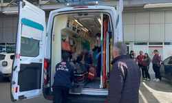 Tedavi için geldiği hastaneden kaçtı: 5 gün dağda biber ve domatesle beslendi