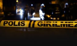 TIR'a çarpıp yanan minibüsün şoförü hayatını kaybetti!