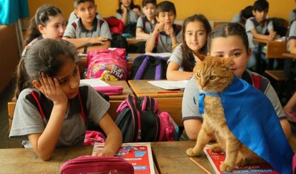 'Kedi Tombi'ye hüzünlü veda