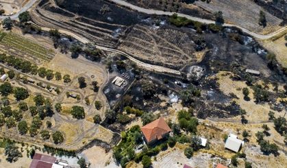 İzmir'deki acı manzara havadan görüntülendi