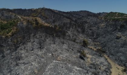 Ormanlık alanları küle çeviren yangın drone ile görüntülendi