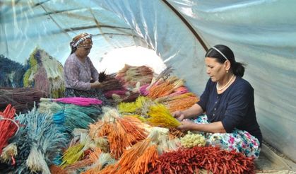 Köylüye dağlardan 'çiçek' gibi kazanç