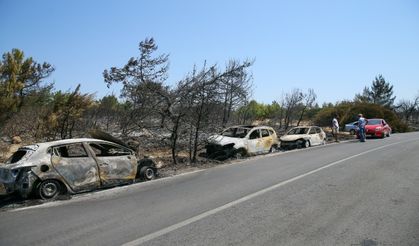 Seferihisar'daki orman yangınında küle dönen araçlar kaldırılıyor!