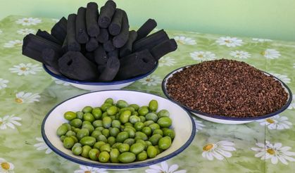 Ne koku var ne duman! Zeytin çekirdeğinden üretilen mangal kömürü ihraç edilecek