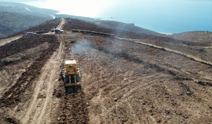 İzmir'de yanan ormanlar yeniden yeşertilecek