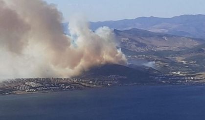 Dikili'deki yangının kül ettiği bölge, havadan görüntülendi