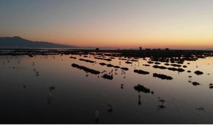 İzmir Kuş Cenneti'nde gün batımı güzelliği