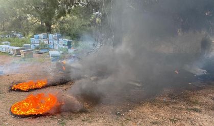Datça'da çıkan orman yangını büyümeden söndürüldü