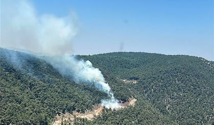 Manisa'da çıkan orman yangınına müdahale ediliyor