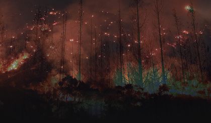 Kül olan ormanlardan geriye yürek dağlayan kareler kaldı... İzmir'in ciğerleri yanıyor!