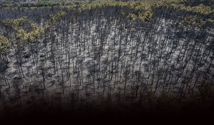 Duman gitti, acı kaldı: Yeşilden griliğe!