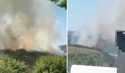 İstanbul'da orman yangını başladı