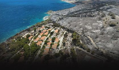 Seferihisar'daki yangın sonrası kahreden görüntü... Griye büründü!