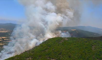 Bursa'daki orman yangını kontrol altına alındı