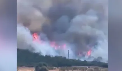 Bursa'da korkutan yangın!