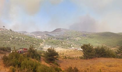Denizli'de çıkan orman yangınına müdahale sürüyor