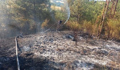 Sinop'ta çıkan orman yangınına müdahale ediliyor