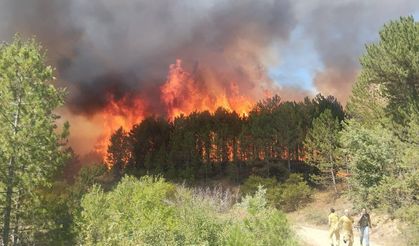 Uşak'ta ormanlık alanda çıkan yangına müdahale ediliyor