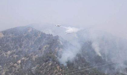 Aydın'da orman yangını 2'nci gününde